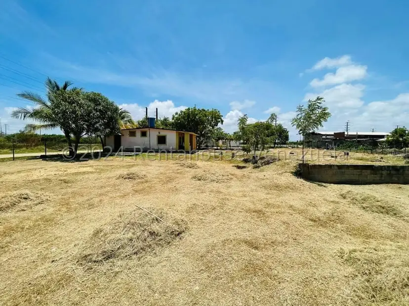 Terreno (Comercial) en Venta en Malecon, Falcon