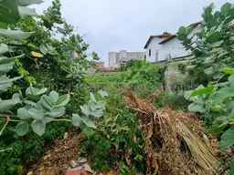 Vista 9