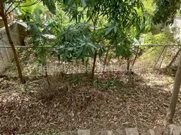 View 84