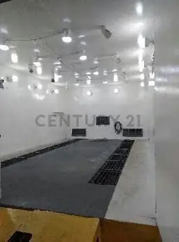 Vista 14