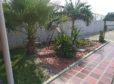 Automotriz en venta - 25