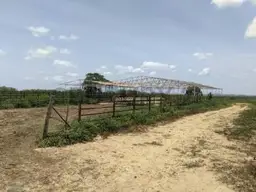 Vista 1