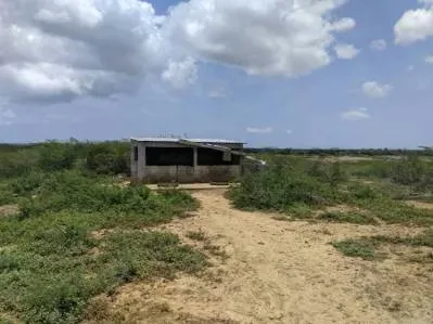 Venta de Finca - 2