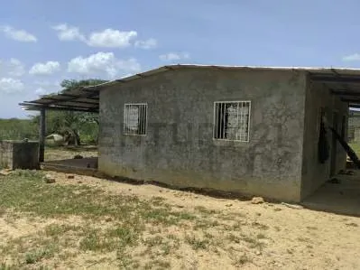Venta de Finca - 5