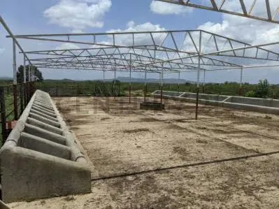 Venta de Finca - 9