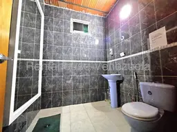 Vista 24