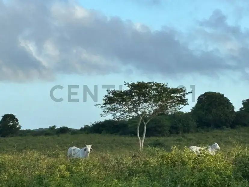 Se Vende Finca Productiva