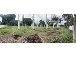 View 11