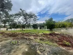 View 7