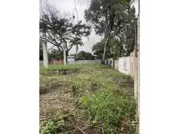 View 10