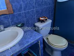 Vista 18