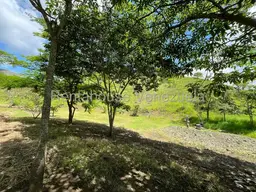 Vista 27