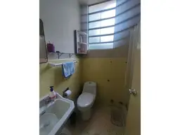 View 31