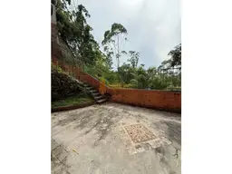 Vista 19