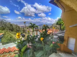 Vista 15