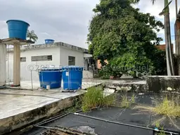View 19