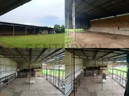 Vista 3
