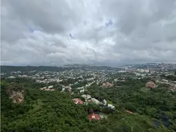 View 51