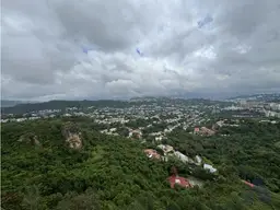 View 52