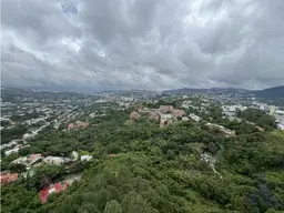 View 53