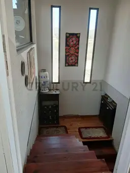 View 14
