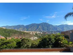 Vista 13