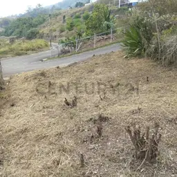 View 3