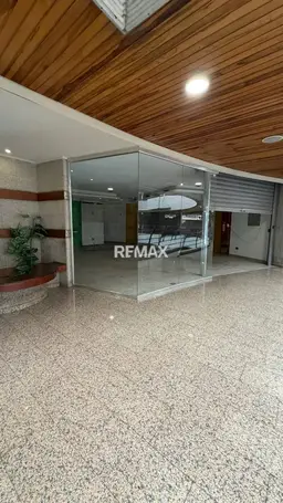 Vista 4