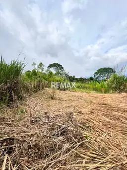 Vista 4