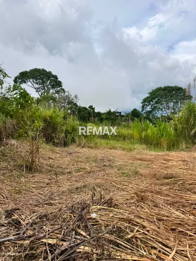 TERRENO EN VENTA EN EL ABEJAL - 5