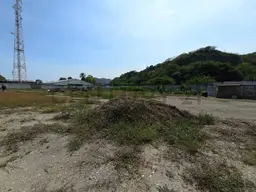 Vista 3