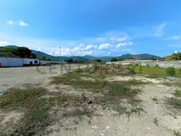 Vista 4