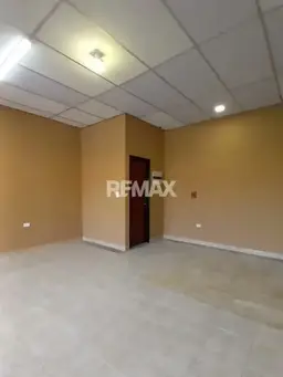 Vista 4