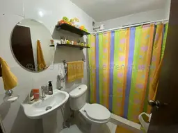 Vista 55