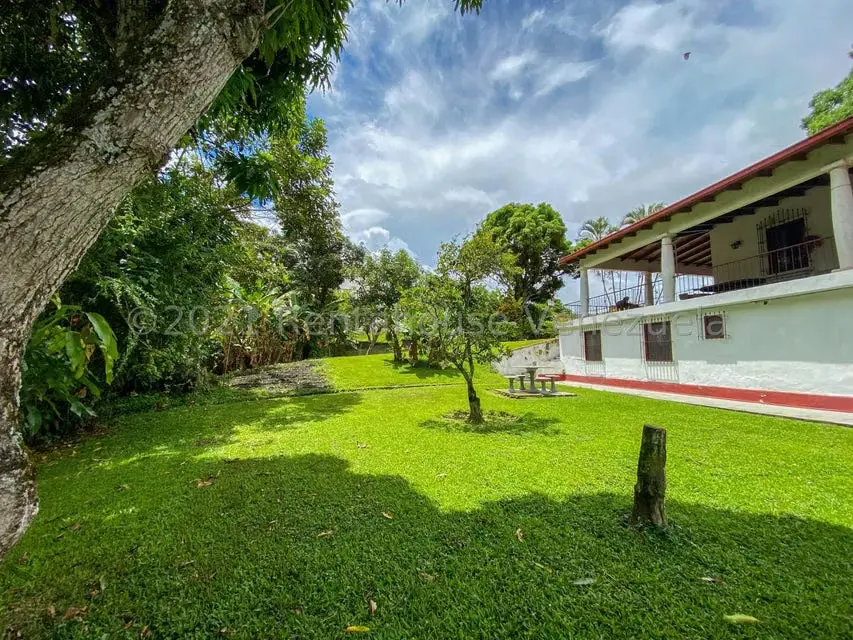 Local Comercial en Venta en La Union, Distrito Metropolitano - 58