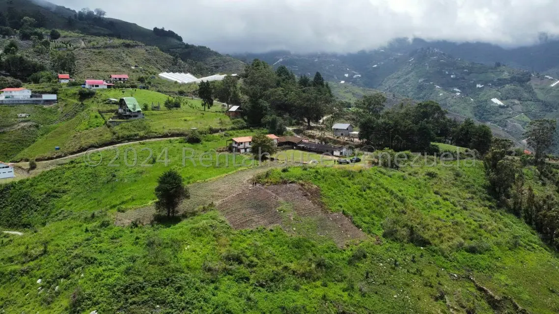 Casa (Hacienda) en Venta en Sector Potrero Perdido, Aragua - 18