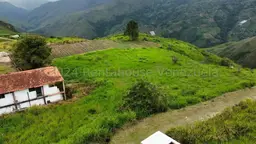 Vista 24