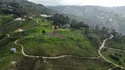 Vista 27