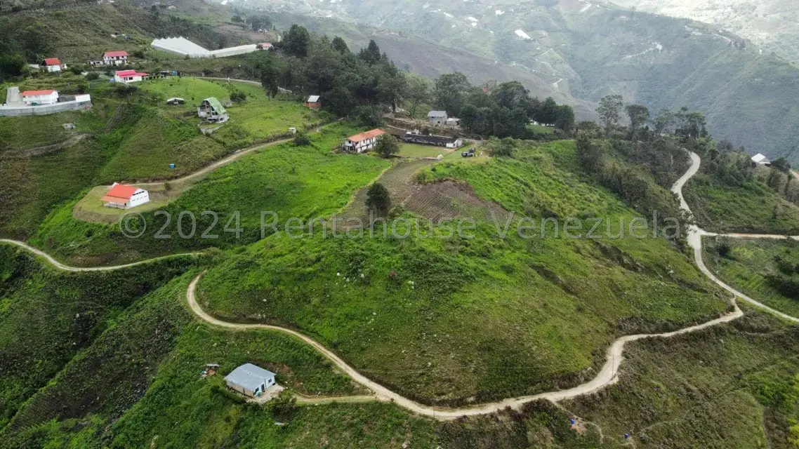 Casa (Hacienda) en Venta en Sector Potrero Perdido, Aragua - 5