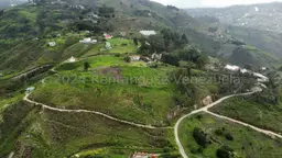 Vista 6