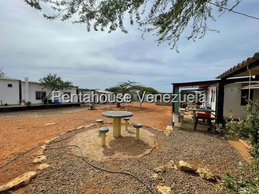 Local Comercial en Venta en Pueblo Nuevo, Falcon - 13