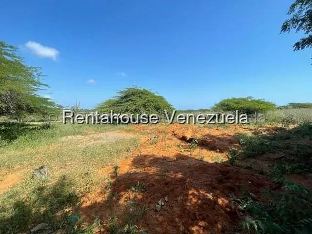 Local Comercial en Venta en Pueblo Nuevo, Falcon - 28
