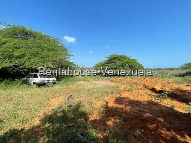 Local Comercial en Venta en Pueblo Nuevo, Falcon - 29
