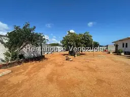 Vista 31