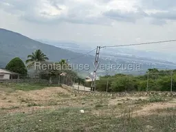 View 24
