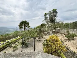 View 25