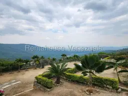 View 30
