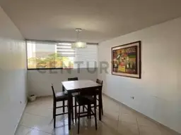 Vista 5