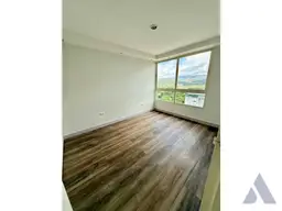 Vista 6
