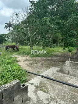 View 3